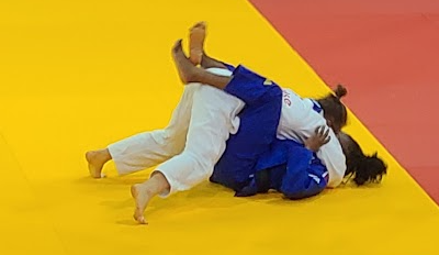Ne-Waza