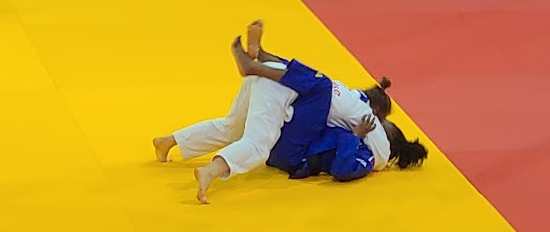 Ne-Waza